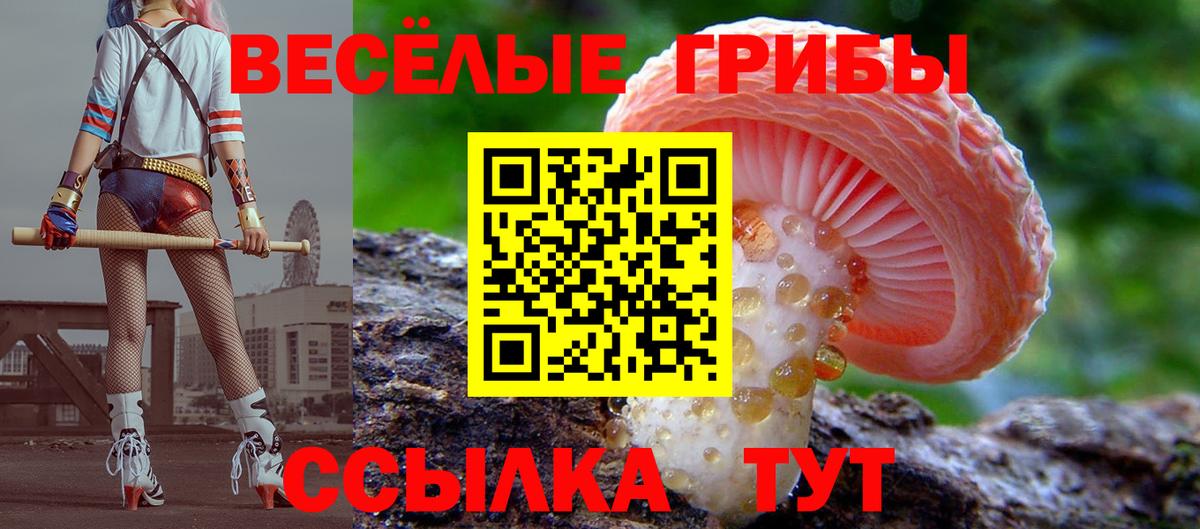 купить наркотики цена  Галлюциногенные грибы мицелий  Нурлат  Вход с VPN  Галлюциногенные грибы Cubensis 