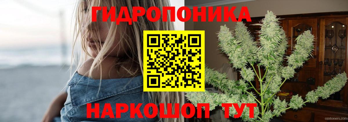 Каннабис Amnesia  Вход с VPN  Бошки марихуана OG Kush  Нурлат 